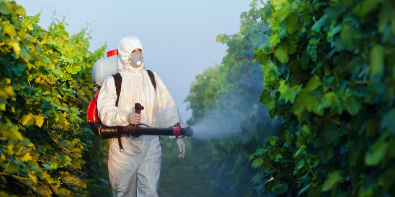 Honeybee Relocation Costs — Cost of Honeybee Relocation