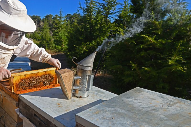 Honeybee Relocation Costs — Cost of Honeybee Relocation