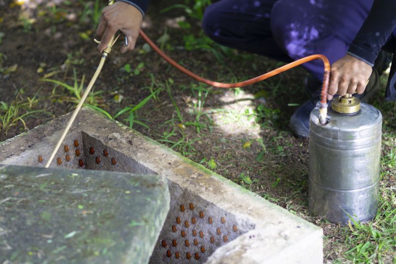 Spider Fumigation Service in Columbus, OH